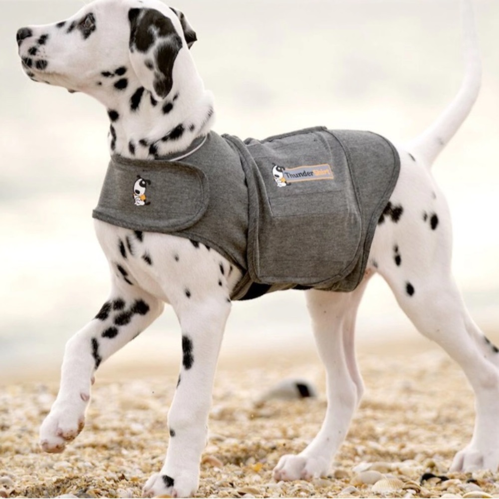 Thundershirt Stress Relief Jacket for Dogs Heather Charcoal Gray Size X-Small - Picture 3 of 13